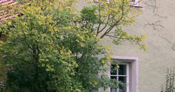 Ciudad Cuento Hadas Rothenburg Alemania Pared Verde Edificio Histórico — Vídeos de Stock