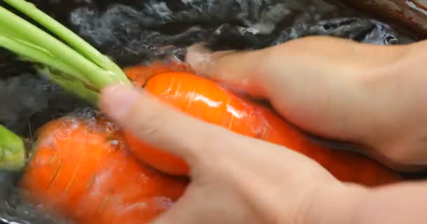 Juste Des Carottes Excavées Propres Dans Évier Cuisine Carottes Vitamines — Video