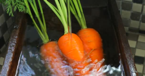 Bara Utgrävda Morötter Rena Diskhon Morötter Vitaminer Viktig Mänsklig Grönsaker — Stockvideo