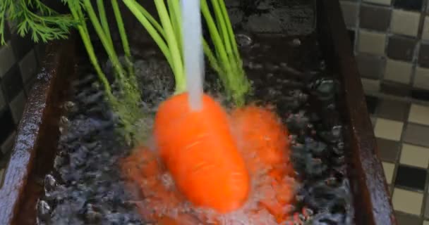 Juste Des Carottes Excavées Propres Dans Évier Cuisine Carottes Vitamines — Video