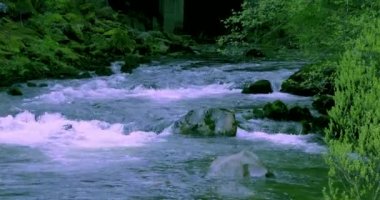 Ketchikan, Alaska, ABD kasabası, dünyanın kalamar başkenti itibar vardır, küçük dere sazan ev