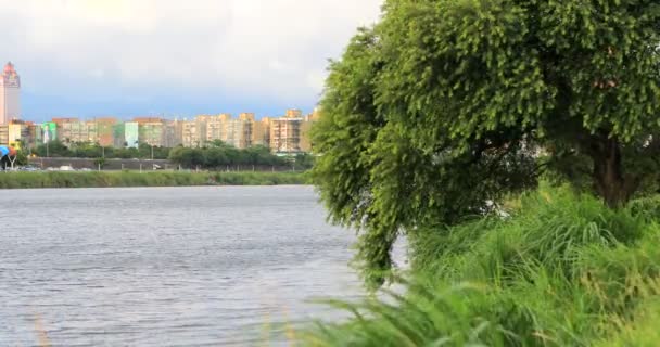 Taipei Parque Diques Verão Taiwan Céu Azul Nuvens Brancas Árvores — Vídeo de Stock