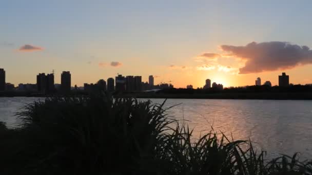 台湾の夏の堤防公園 日没の夕日 風に揺れる川の葦の草 雲と太陽の水に反映され 美しい風景 — ストック動画