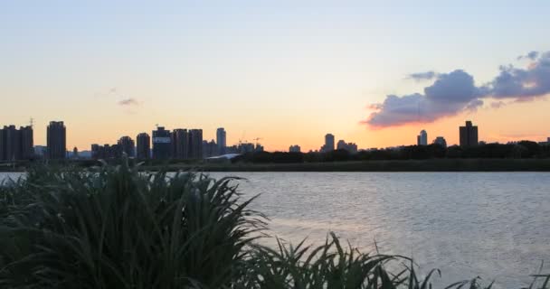 台湾の夏の堤防公園 日没の夕日 風に揺れる川の葦の草 雲と太陽の水に反映され 美しい風景 — ストック動画