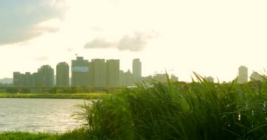 Taipei, Tayvan 'ın yaz seti parkı, gün batımında günbatımı, rüzgarda sallanan nehir sazlığı, bulutlar ve güneş suya yansıyan güneş, güzel manzara.