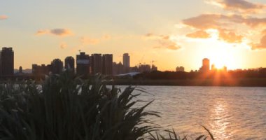 Taipei, Tayvan 'ın yaz seti parkı, gün batımında günbatımı, rüzgarda sallanan nehir sazlığı, bulutlar ve güneş suya yansıyan güneş, güzel manzara.