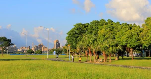 台湾の夏の堤防公園 青い空と白い雲 木と緑の草 風に揺れる木 屋外活動はそれが良い感じになります — ストック動画
