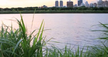 Taipei, Tayvan 'ın yaz seti parkı, gün batımında günbatımı, rüzgarda sallanan nehir sazlığı, bulutlar ve güneş suya yansıyan güneş, güzel manzara.