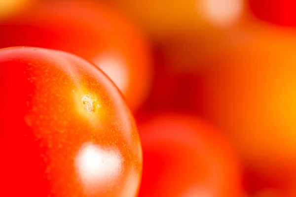 Close-up tomates frescos do jardim na Tailândia — Fotografia de Stock