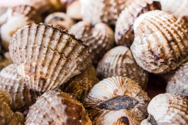 Izgara tarak, samui Tayland