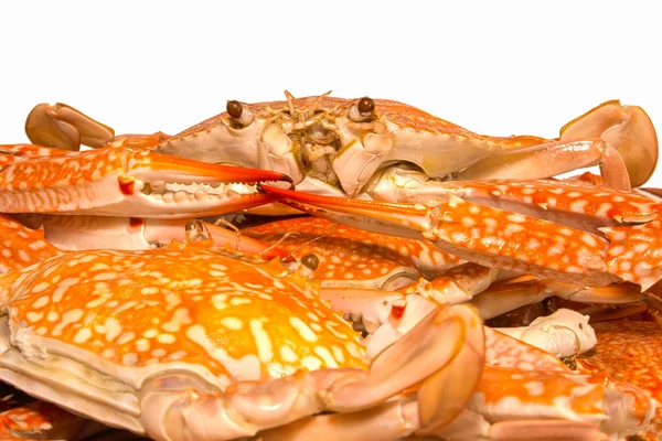 魚介類を煮て蒸し蟹 — ストック写真