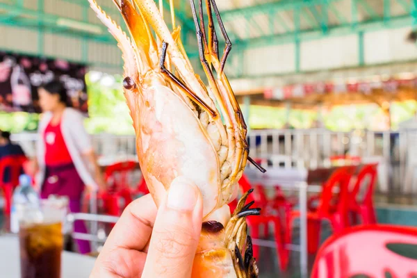 Gamberetti grigliati, samui thailandia — Foto Stock