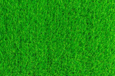 yeşil çim doku arka plan Eko kavramı