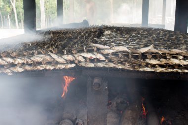 köy gıda sanayi, krabi, Tayland thailand Balık tutma üzerinden füme balık
