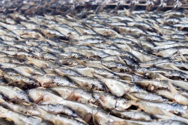 Pesce affumicato dell'industria alimentare del villaggio di pescatori nel Kirabi thailandia — Foto Stock