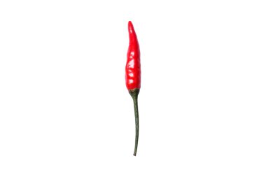 Beyaz arka plan üzerinde izole kırmızı sıcak kuş chili biber doğa