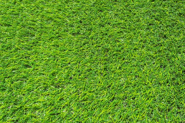 Verde grama textura fundo eco conceito — Fotografia de Stock