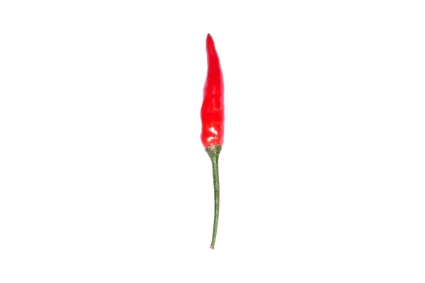 Red hot bird chili pepper nature isolated on white background — Stock Photo, Image