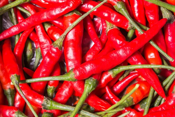 Vermelho pássaro quente pimenta natureza fundo — Fotografia de Stock