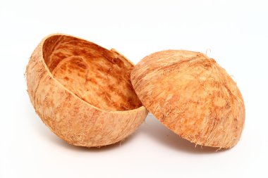 Hindistan cevizi kabuğu beyaz arkaplanda izole edildi