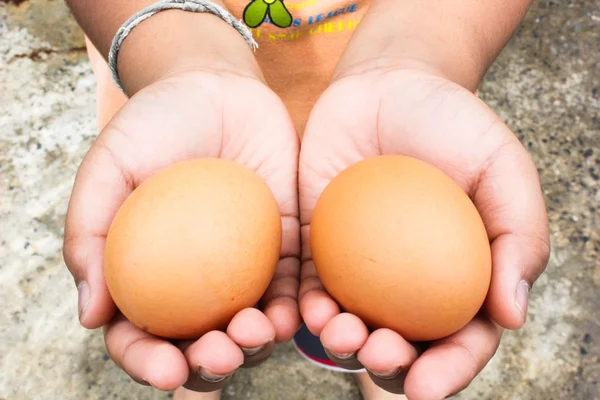 Children hand hold eggs chicken farm — Stock Photo, Image
