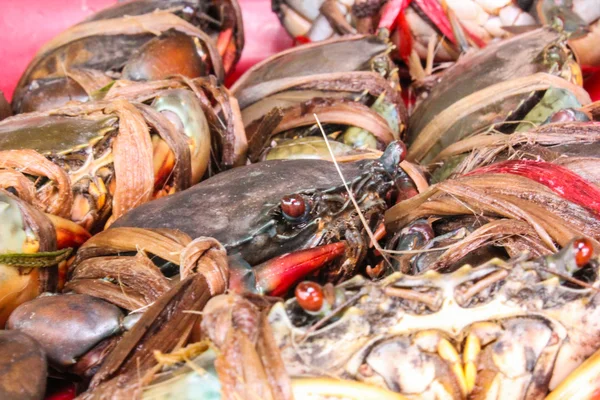 魚介類の市場で新鮮な鋸歯状泥カニ ブラック — ストック写真