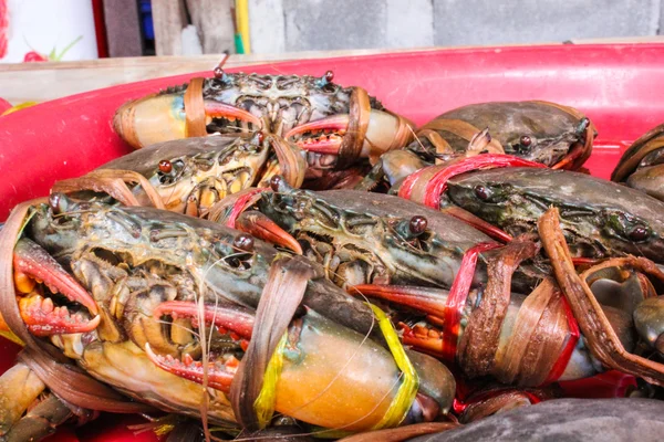 Crabe de boue fraîche dentelée noir sur le marché des fruits de mer — Photo