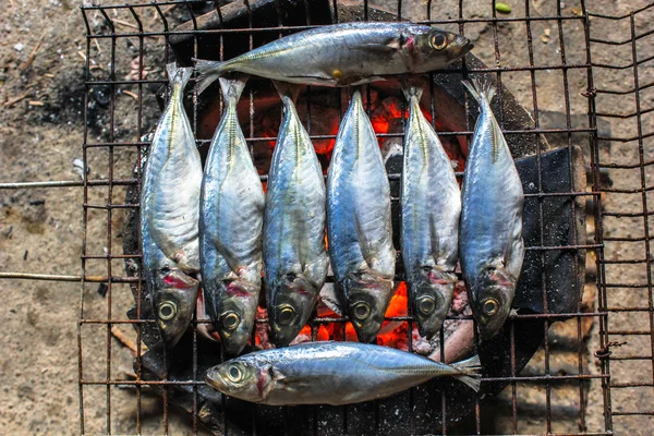 Frischen Meeresfisch auf Holzkohle grillen — Stockfoto