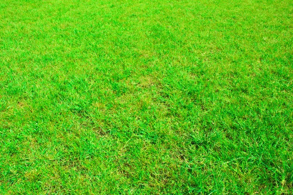 Textura sem costura grama verde no campo de futebol — Fotografia de Stock