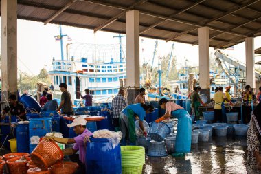 Tayland - 21 Ocak: balık pazarında balıkçı köyü, Nakhon Si