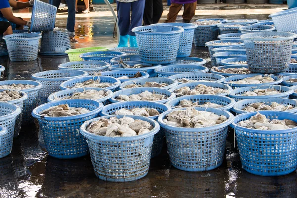 Pile de calmars frais dans le panier vendu dans le marché des quais de poisson — Photo