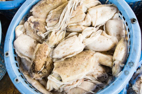 Pilha de lulas frescas na cesta vendida no mercado das docas de peixe — Fotografia de Stock