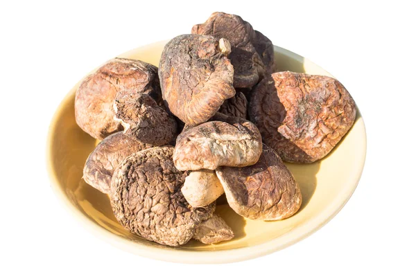 Cogumelo shiitake seco isolado no fundo branco — Fotografia de Stock