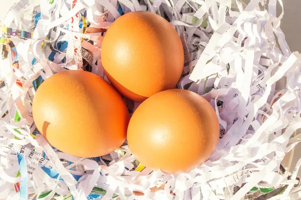 Eggs chicken farm on background — Stock Photo, Image