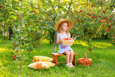 Elma bahçesindeki çocuk portresi. Hasır şapkalı küçük bir kız, mavi çizgili bir elbise, elinde elmalarla sepetle bankta oturuyor..