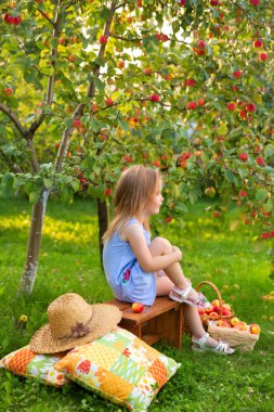 Elma bahçesindeki çocuk portresi. Hasır şapkalı küçük kız, mavi çizgili elbise, bankta oturuyor.