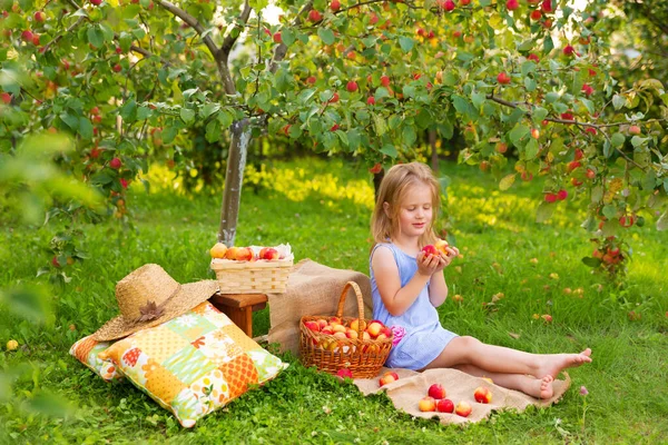 Portret Dzieci Sadach Jabłkowych Mała Dziewczynka Niebieskiej Sukience Paski Siedzi — Zdjęcie stockowe