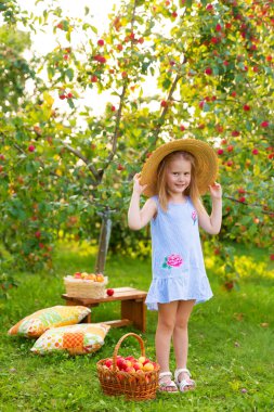 Elma bahçesindeki çocukların portresi. Hasır şapkalı ve mavi çizgili elbiseli küçük kız hasır elma sepetinin yanında duruyor. Tasasız çocukluk, mutlu çocuk