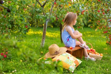 Elma bahçesindeki çocuk portresi. Mavi çizgili elbiseli küçük kız, bankta oturuyor.