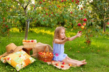 Elma bahçesindeki çocukların portresi. Mavi çizgili elbiseli küçük bir kız hasat edilmiş elmalarla hasat sepetinin yanına oturur ve elma fırlatır. Tasasız çocukluk, mutlu çocuk