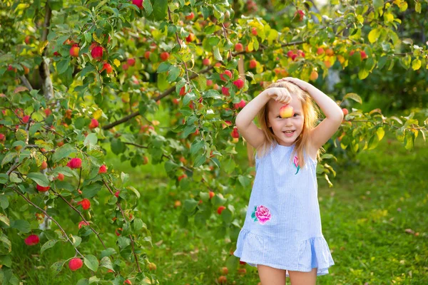Porträt Von Kindern Einem Apfelgarten Kleines Mädchen Blau Gestreiftem Kleid — Stockfoto