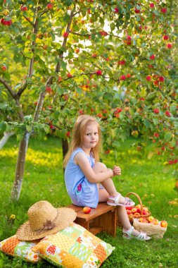 Elma bahçesindeki çocukların portresi. Mavi çizgili elbiseli küçük kız elma hasadının arasında bankta oturuyor. Tasasız çocukluk, mutlu çocuk