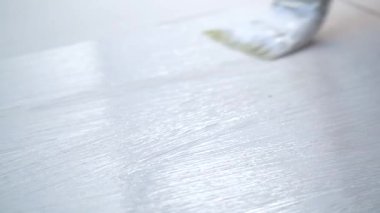 Ahşap bir masa ya da zemine beyaz boya sürüyorum. Daire yenileme kavramı