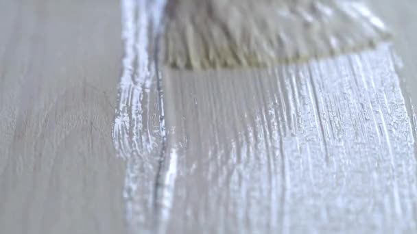 Yakın plan ressam, yerleri ya da masayı fırça ve ev onarımı kullanarak beyaza boyar. — Stok video
