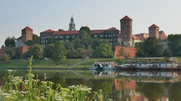 Blick vom Fluss auf den Wawel und grüne Kräuter im Vordergrund — Stockvideo