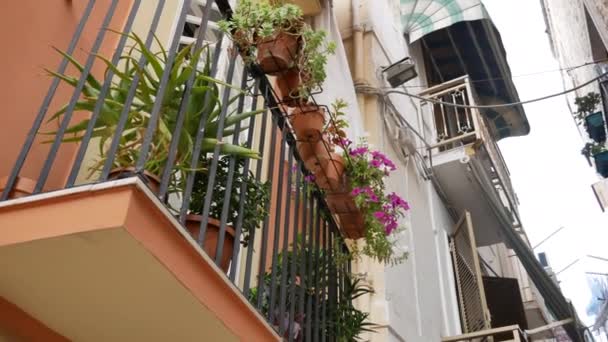 Kwiaty na balkonach w starym mieście Bari — Wideo stockowe