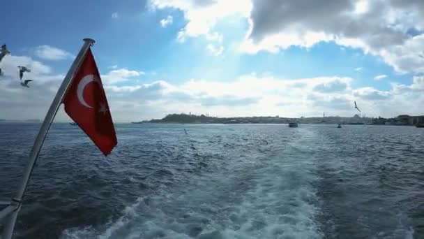 Drapeau turc sur le ferry en mouvement et les mouettes — Video