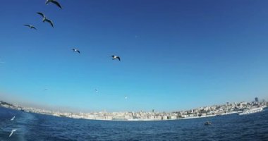 İstanbul 'un Karaköy ilçesi ufukta ve martılarda - Ultrawide, DCI 4K