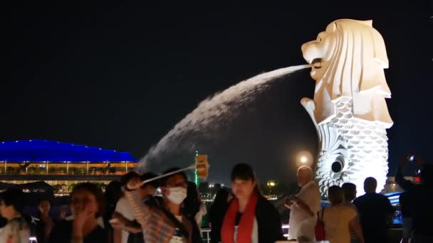 Singapur Merlion wieczorem i dziewczyny robi selfie — Wideo stockowe