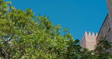 Önünde yeşil ağaçlar olan antik Almudaina Sarayı duvarını görün. Çekim.